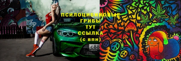 дурь Бугульма